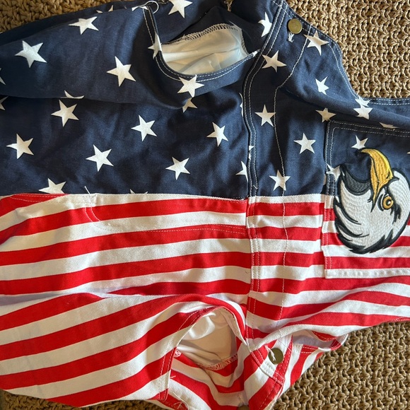 Men's Patriotic Eagle Overalls - Picture 6 of 8